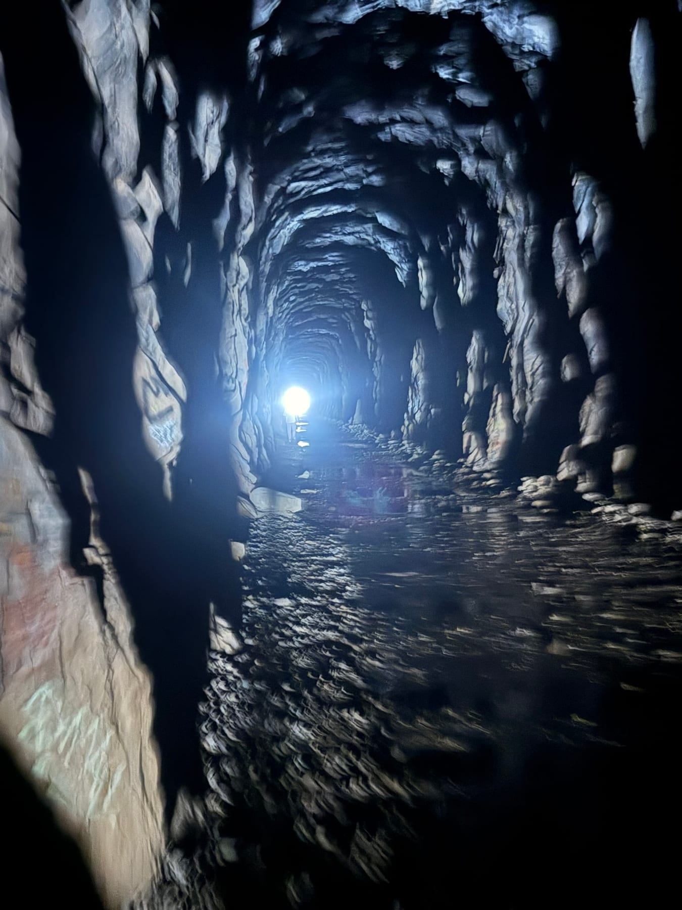 Snow tunnel during the Donner Pass hike