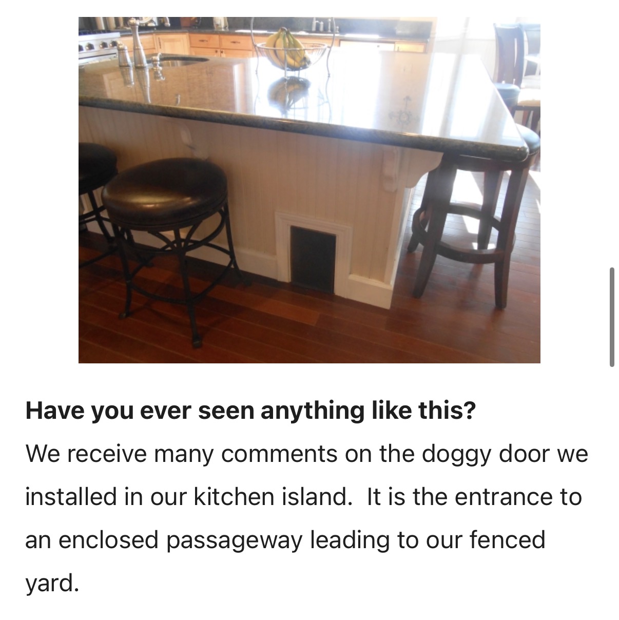 Dog tunnel entrance in the Colfax kitchen island