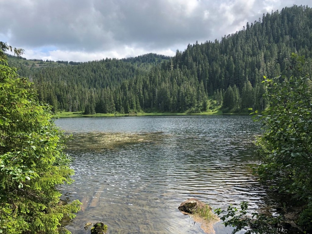 Deer Lake trail basin