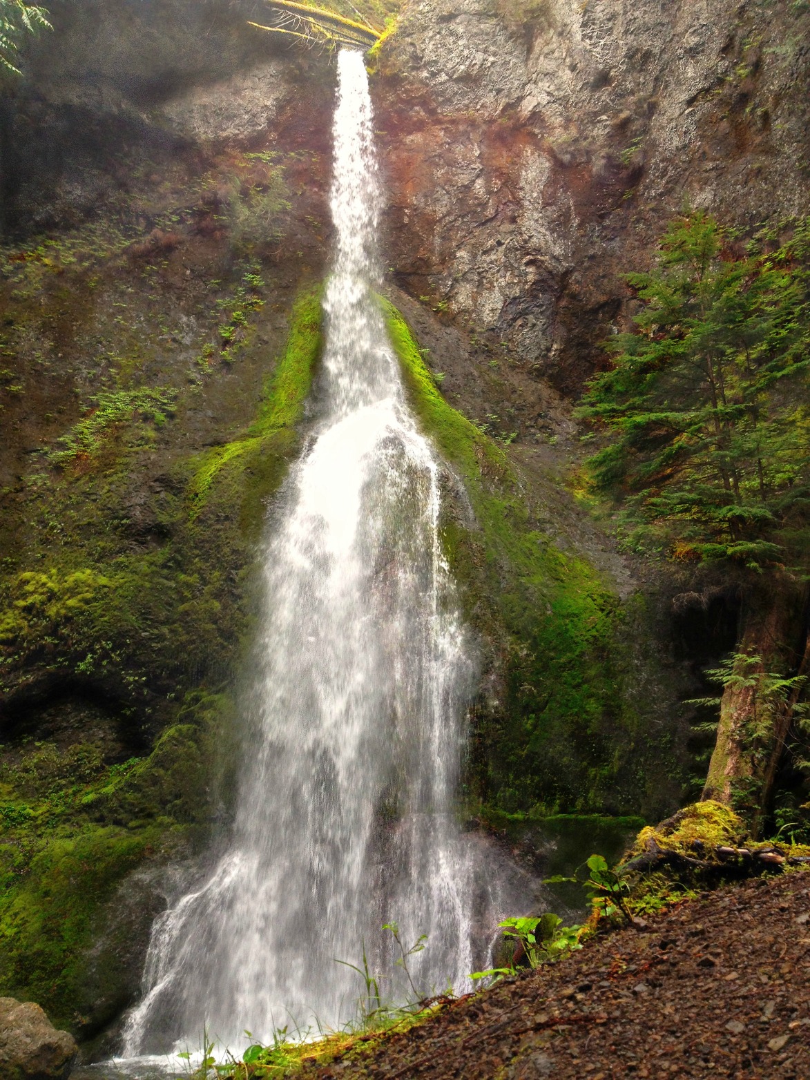 Marymere Falls
